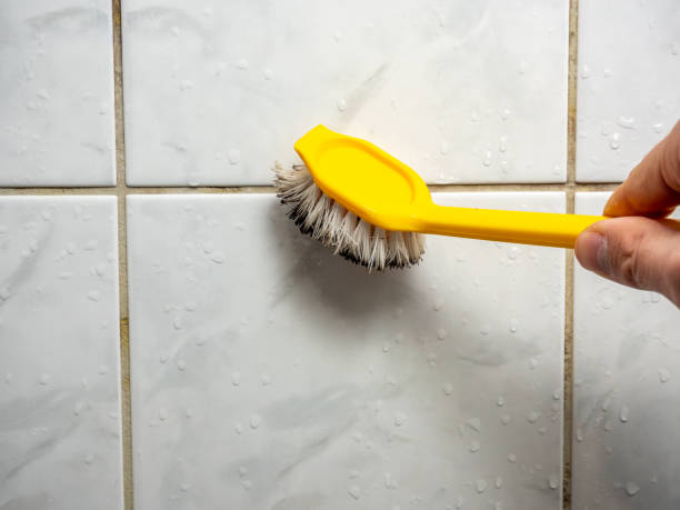 Best Professional Mold Removal  in Daniel, UT